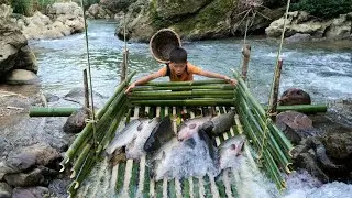 How to catch giant fish: Smart boy creates a unique bamboo trap to catch big fish