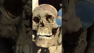 Deutscher Soldat mit Brille gefunden - 2WK