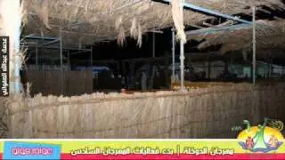 مهرجان الدوخلة القطيف   جزيرة تاروت   سنابس