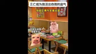 当死亡成为我活出自我的底气时大合集 #猫meme小故事 #猫meme #猫meme小剧场 #猫meme故事