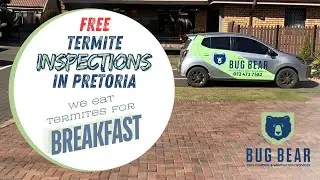 Free Termite Inspection in Pretoria | Termite Control Experts
