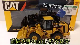 リサ店購入品　詳細不明　cat 1/87