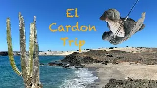 Baja Surf Trip December