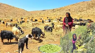 Nomadic Girlz in Iran’s Nature 🌿 | Herding Sheep 🐑 & Picking Wild Pears 🍐