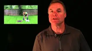 Pet Training Program - How to teach your dog the climb command.