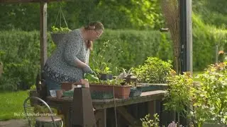 Pflanzen retten und Freude bringen! 🌱 Pflanzenflohmarkt | Die Schrebergärtner | Kabel Eins