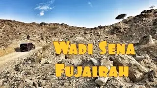 Wadi Sena, Fujairah
