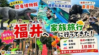 Fukui, Japan &ndash; Dinosaurs, Dramatic Cliffs & Aquarium Adventure!