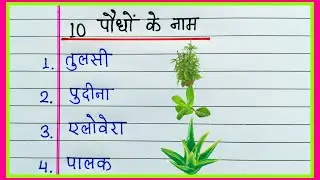 10 Plants Name in Hindi | 10 पौधों के नाम हिंदी में | Paudhon ke naam | Plants Name 