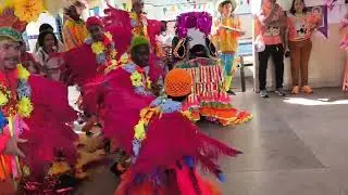 Boi Cara Branca. Apresentação na Escola Arthur Correia de Oliveira.