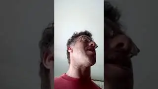 Baltazar. E Sofia. Noronha. N. Valem. Nada