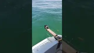 p&ecirc;che raie en bateau