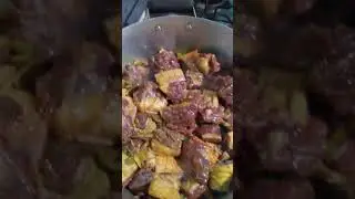 tatu peba cozido