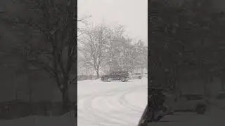 Toronto blizzard #2026 #snowstorm #416 #67