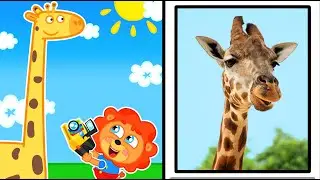 LeonCito | Fotograf&iacute;as reales | Dibujos animados | Video Para Ni&ntilde;os