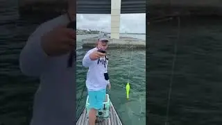 Strongest Ice Rod Ever #shorts