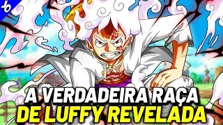 A RAÇA LENDÁRIA DE LUFFY É REVELADA! A LINHAGEM ESPECIAL DA FAMÍLIA MONKEY | ONE PIECE
