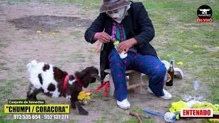 LLAMERITOS / 