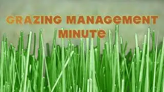 Grazing Management Minute: Winter Feeding and Planning
