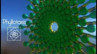 Phyllotaxis |  3d Animation |  Surreal CG Animation
