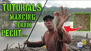 Cara mancing teknik pecut,umpan uler kandang