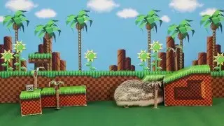 Happy Hedgehog Day!