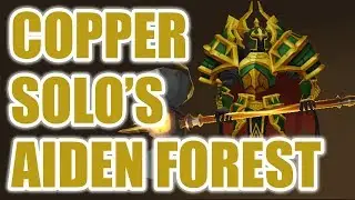 SUMMONERS WAR : COPPER SOLO AIDEN FOREST 1 (HELL)