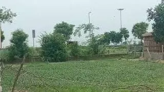 205 sq yd plot in tappal at Yamuna expressway exit 5 #call 8851563830