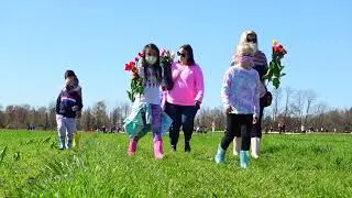 U Pick Tulips 2021 Overview