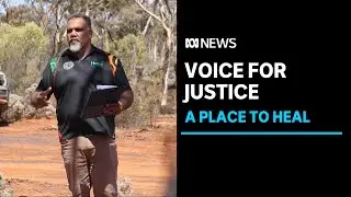 Can the Voice help lower Australia's Indigenous incarceration rates? | ABC News