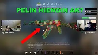 Onko T&auml;ss&auml; Pelin HIENOIN AK?