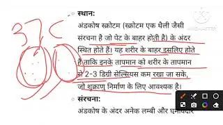 Class 12 chapter 3 part 2 male reproductive system complete theory बिल्कुल आसान भाषा में समझे 