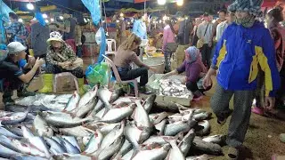 Ever Seen Site Distribution Alive Fish &  Fresh Fish in CAMBODIA - Fish Market Scenes