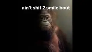 DUH BEST FREE BEAT EVER IDC U CAN USE IT