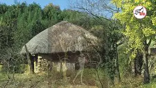 Village Background Music with flute|| No Copyright Indian Village Music || Free Music Era