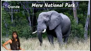 Meru National Park - Qande Travel Consultants - Joyce Nganga-Bert