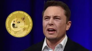 Илон Маск раскрывает ШОКИРУЮЩУЮ ПРАВДУ ⚠️ Обновление Dogecoin ⚠️
