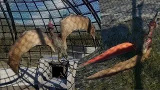 SOME FLAPPY BOIS| Jurassic World Evolution 2