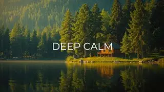 Deep Work Music &ndash; Calm Forest Cabin Ambience for Focus & Relaxation