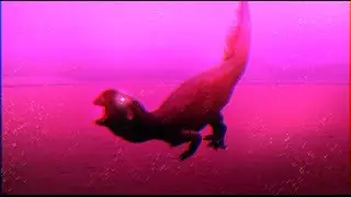 The Isle Songs: Taco Will Be There (Music Video)
