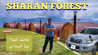 Exploring the Enchanting Sharaan Forest in Pakistan with a 4x4 Jeep | Nature's Hidden Gem I Off Road