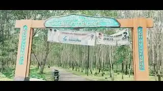 Profil Desa Tibona Sebagai Desa Brilian Binaan BRI Unit Palampang Branch Office Bulukumba