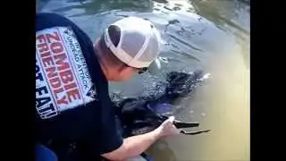 Monster Driftwood