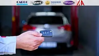Авто импорт  AUTO IMPORT  Cargo Logistics