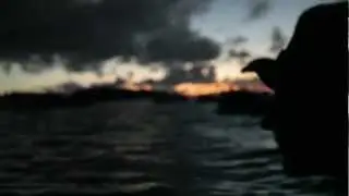 Marines Conduct Amphibious Night Raid - 31st Marine Expeditionary Unit Training
