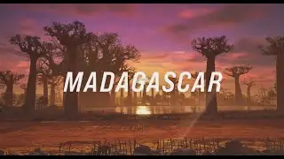 TEKKEN 8 New Madagascar Stage - Baobab Horizon Exploration