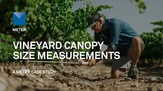 Measuring Vineyard Canopy Size to Improve Soil Water and ET Modeling