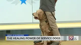 The Healing Power of Service Dogs w/ Dog Training Elite of HSV | Nov. 6, 2024 | News 19 at 9 a.m.
