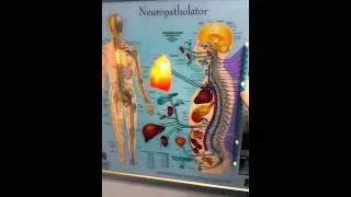 Neuropatholator