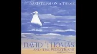 Pedestrian Walk - David Thomas And The Pedestrians